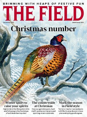 cover image of The Field